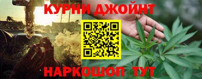 шишки Дубна