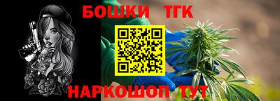 шишки Дубна