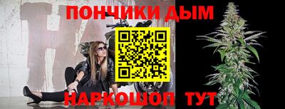 шишки Дубна