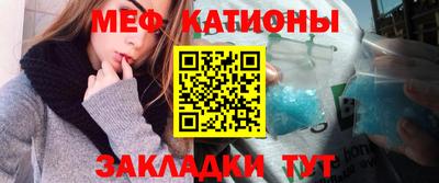 шишки Дубна